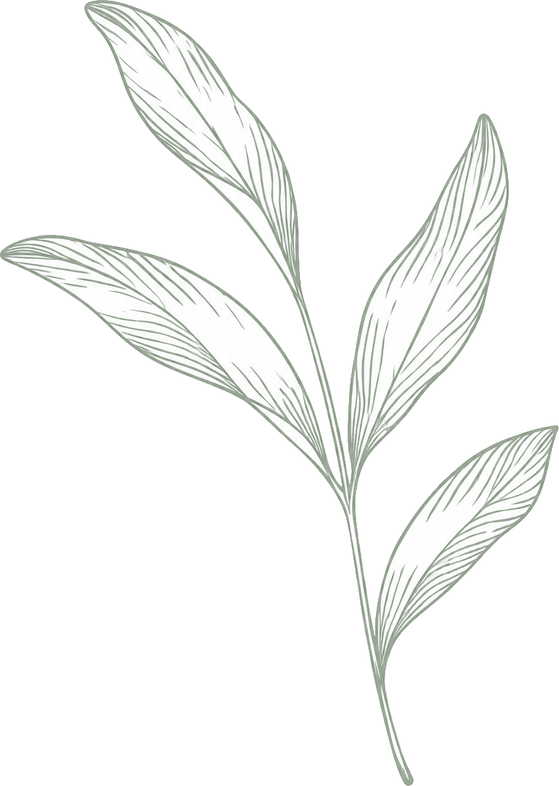 leaf_decoration