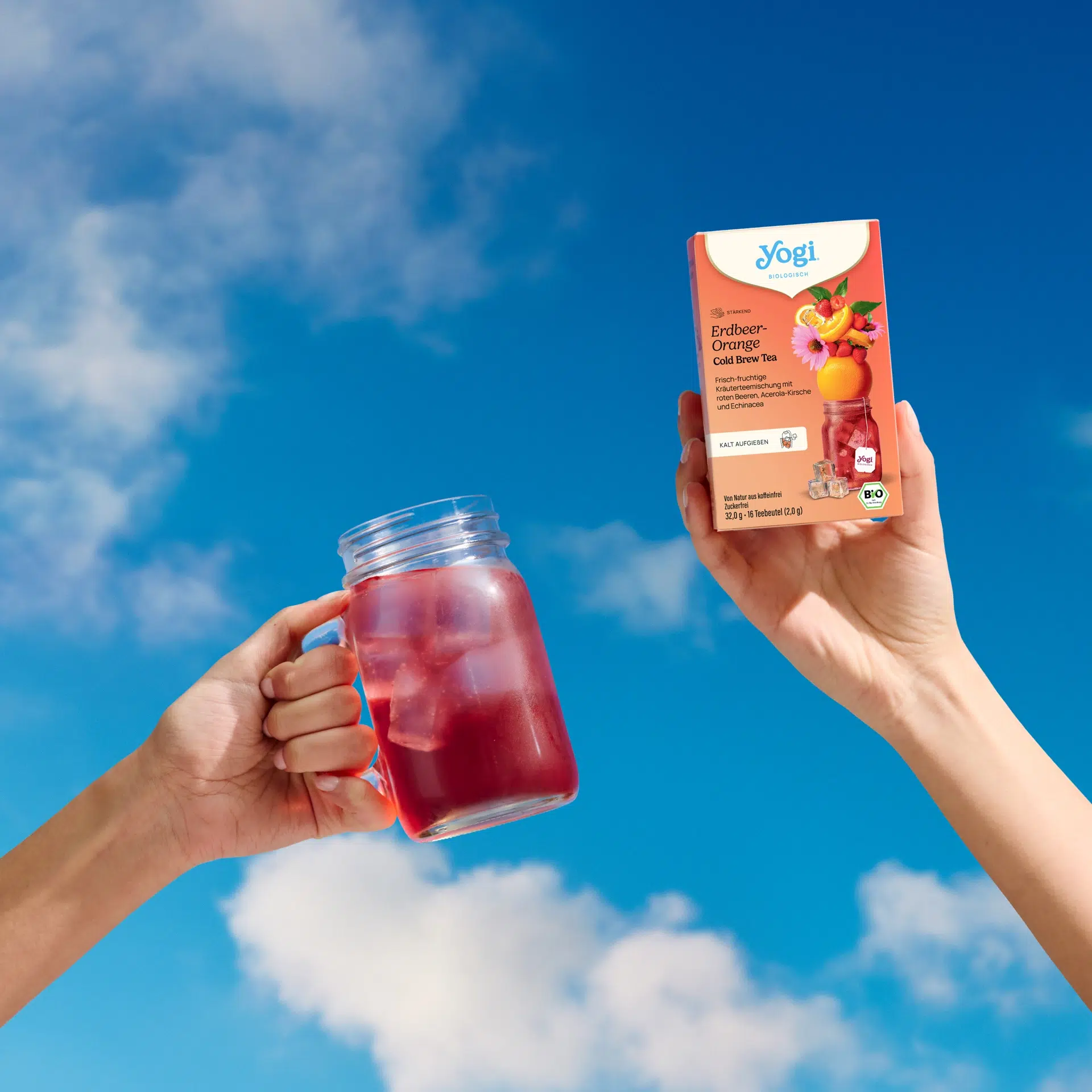 YOGI COLD BREW STRAWBERRY-ORANGE ΒΙΟ 30g
