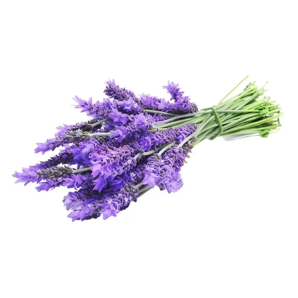 ΛΕΒΑΝΤΑ ΒΙΟ 30gr