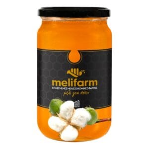 Μέλι Βαμβάκι 480gr