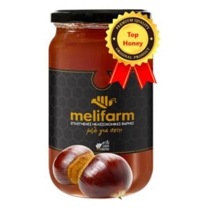 Μέλι Καστανιάς Αγιορείτικο 480gr - 960gr