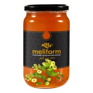 Μέλι Παλιούρι 480gr