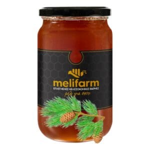 Μέλι Πεύκου 480gr - 960gr